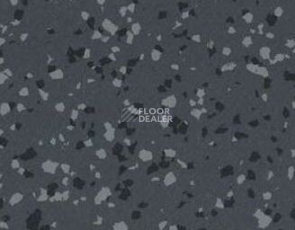 Линолеум Taralay Premium Brazilia 3707 Paraiba фото 1 | FLOORDEALER